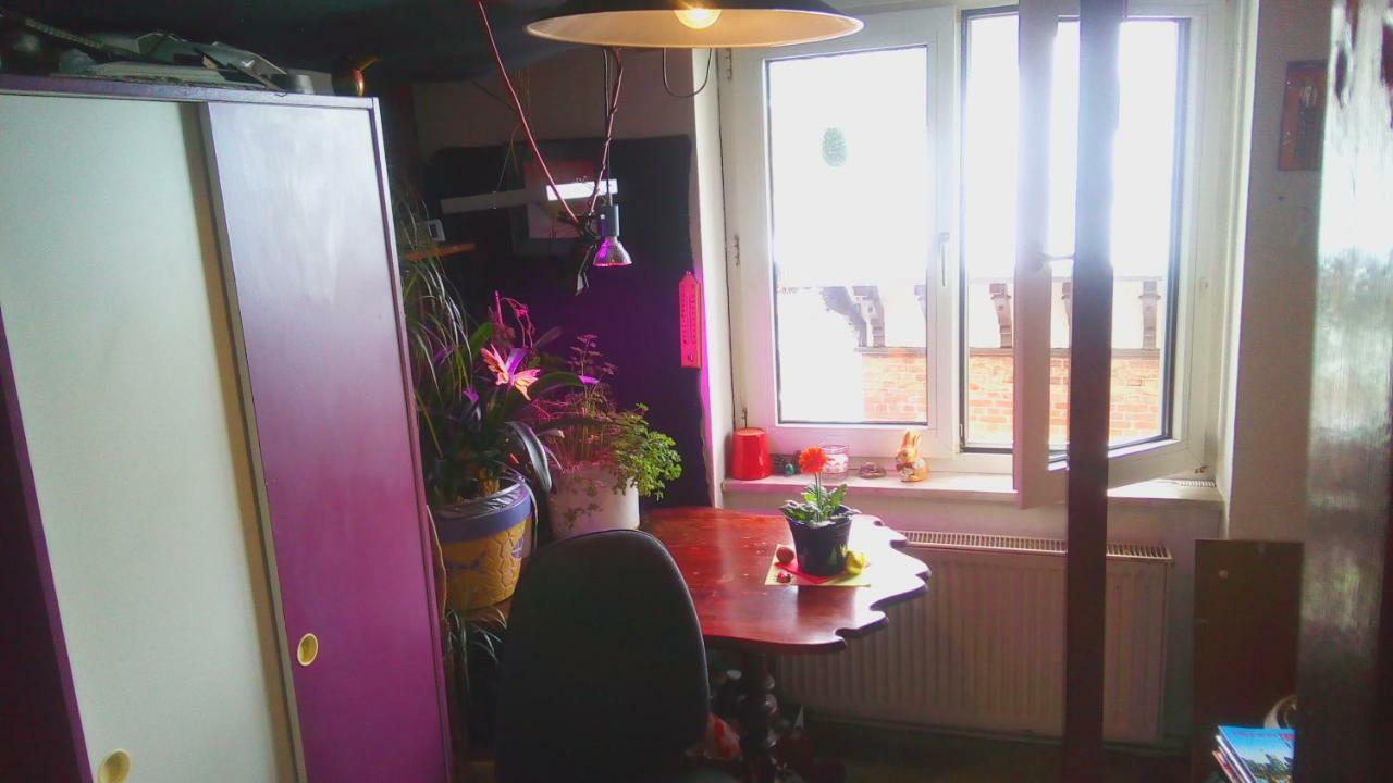 Citycentre Room For 1 Female Persons - Alternative Plus 1 Child Франкфурт-на-Майне Экстерьер фото