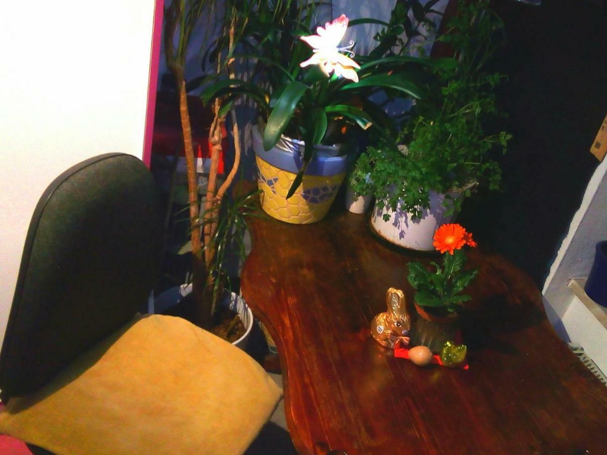 Citycentre Room For 1 Female Persons - Alternative Plus 1 Child Франкфурт-на-Майне Экстерьер фото